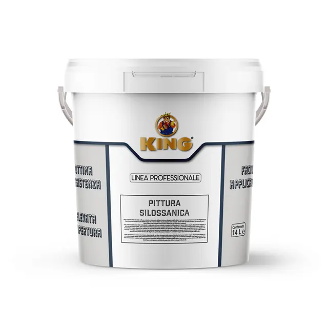 Pittura Silossanica